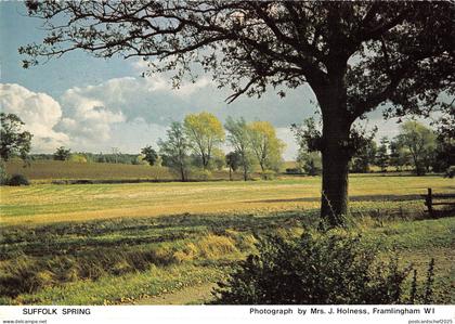 uk35097 suffolk spring  uk