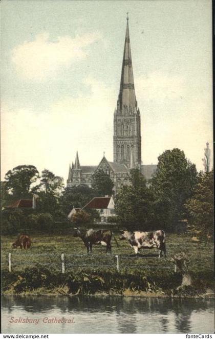 Salisbury Wiltshire Cathedral
