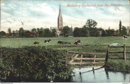 Salisbury Wiltshire Cathedral