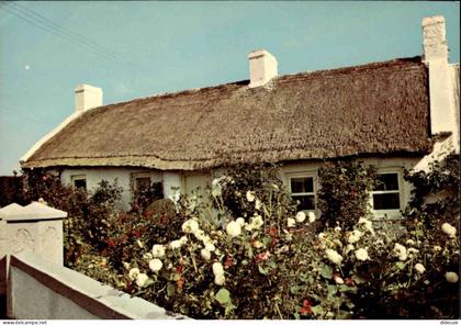 Carte Postale - Irlande du Nord - Benburb - Cottage - Fleurs - Co Tyrone - CPM - Voir Scans Recto-Verso