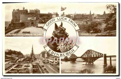 CPA Edinburgh chien
