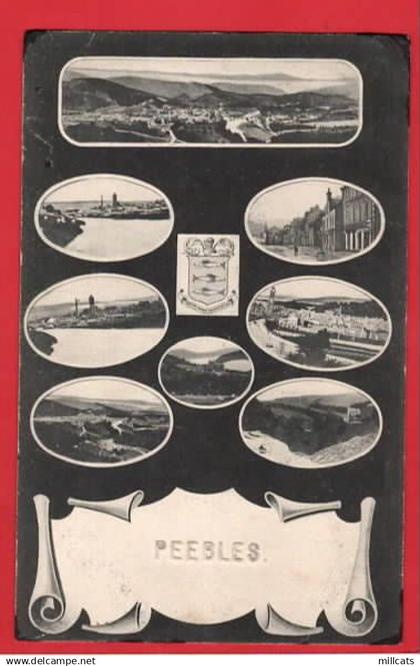 PEEPLES +  HERALDIC CREST pu  1906