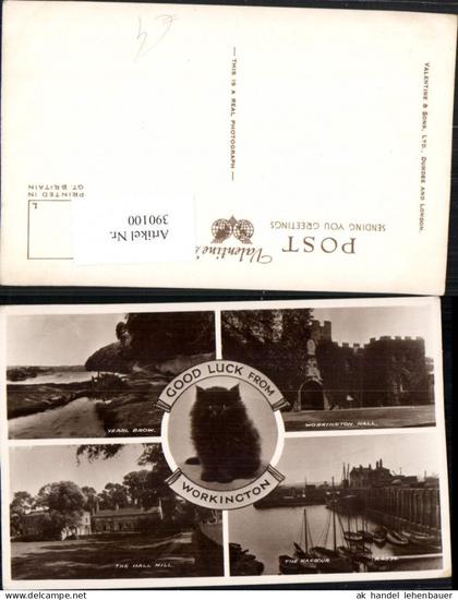 390100,Great Britain England Workington Hall Harbour Hall Mill Katze Mehrbildkarte