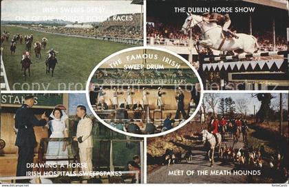 Dublin Ireland Irish Sweeps Derby Horse Show Drawing a Horse Irish Hospitals Swe