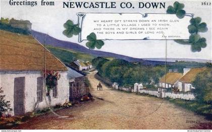 55096857 - Newcastle