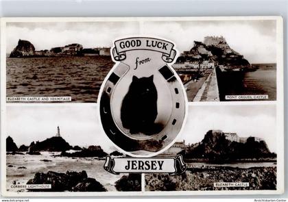 51547301 - Jersey