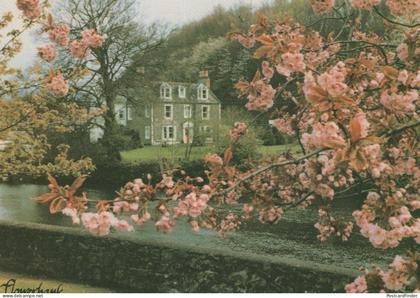 Flowerbank Guest House Minnigaff Scottish Wigtownshire Postcard