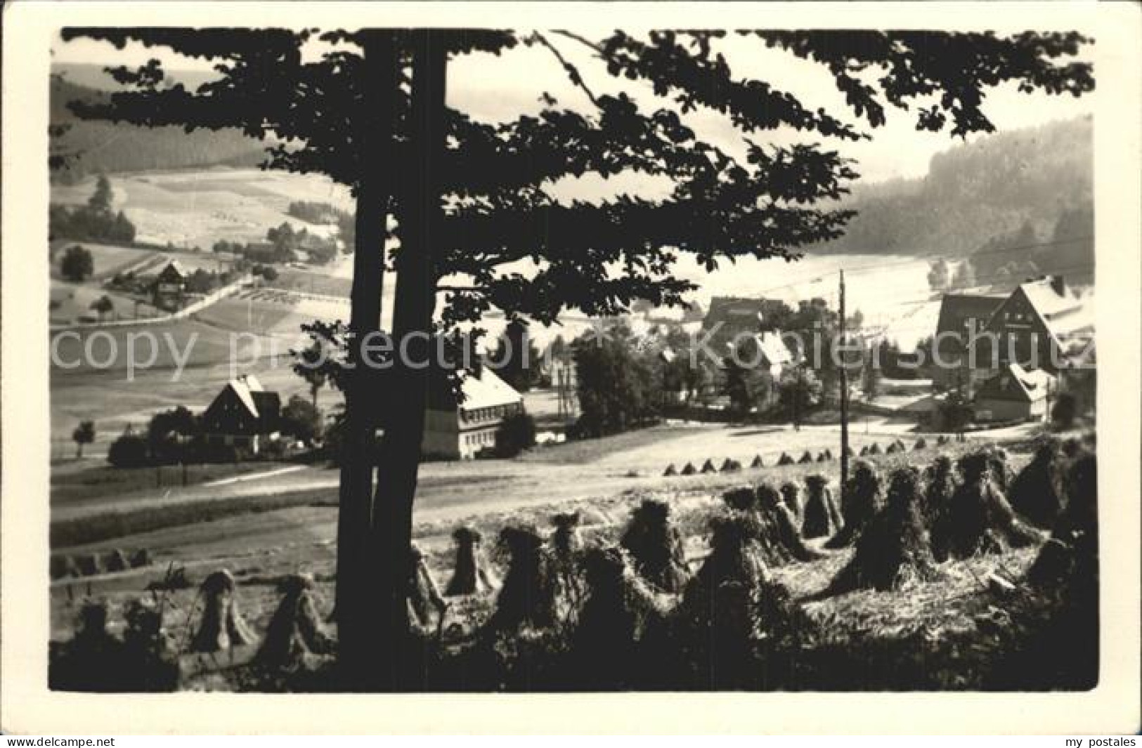 Rehefeld-Zaunhaus Dorfansicht