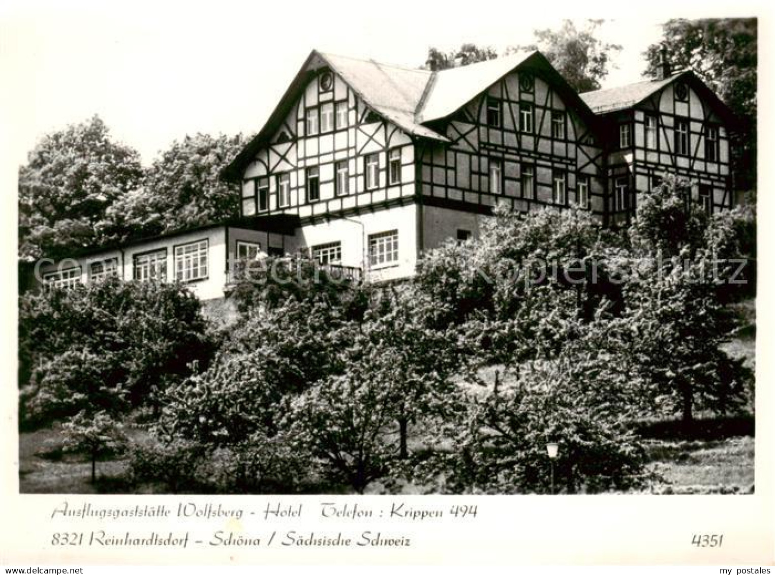 Reinhardtsdorf-Schoena Ausflugsgaststaette Wolfsberg Hotel