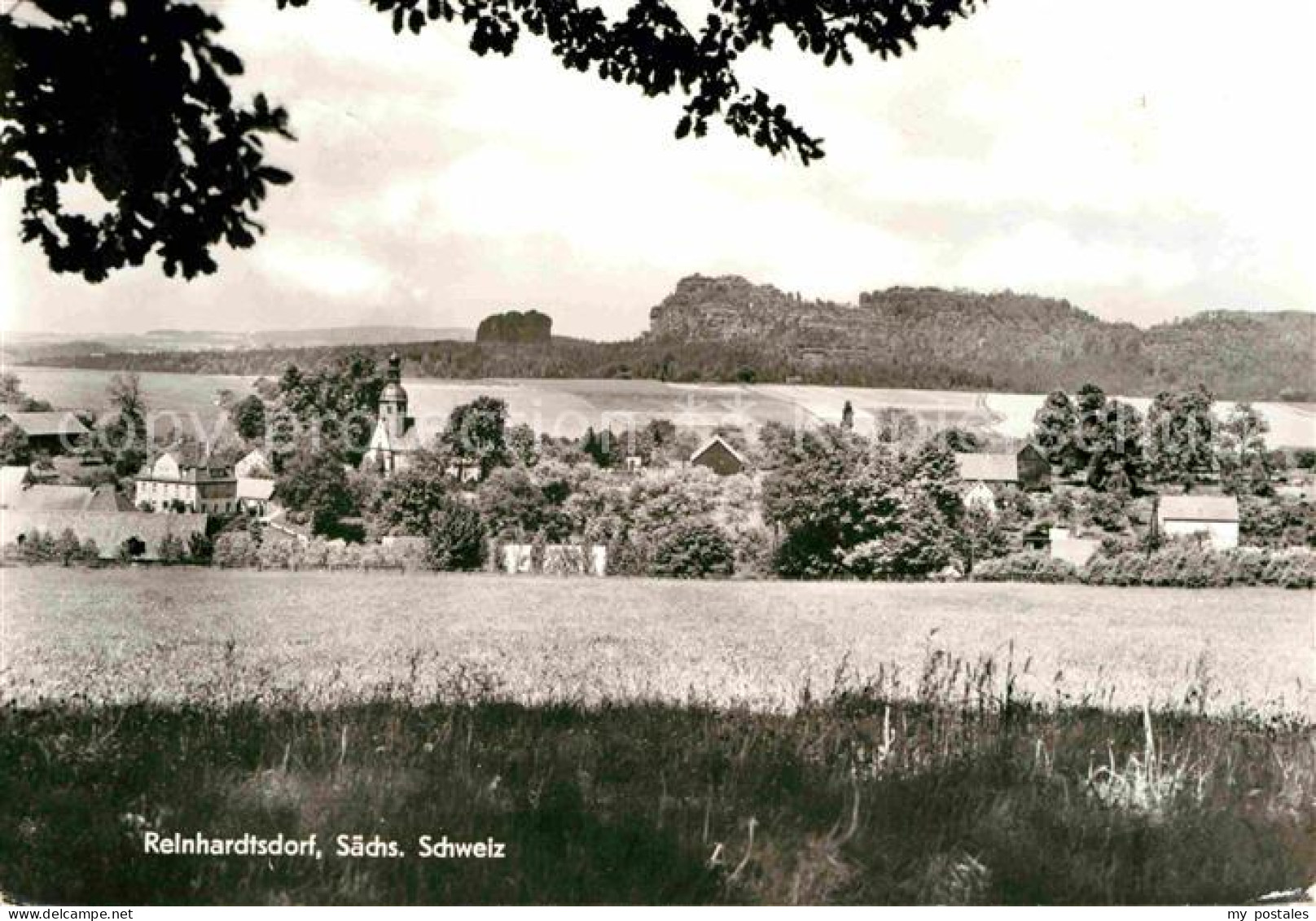 Reinhardtsdorf-Schoena Panorama