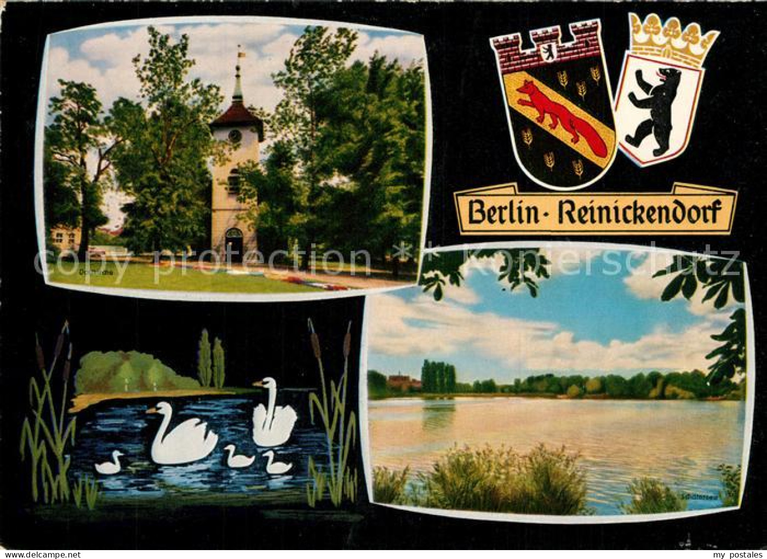 Reinickendorf Dorfkirche Schaefersee Schwanenteich