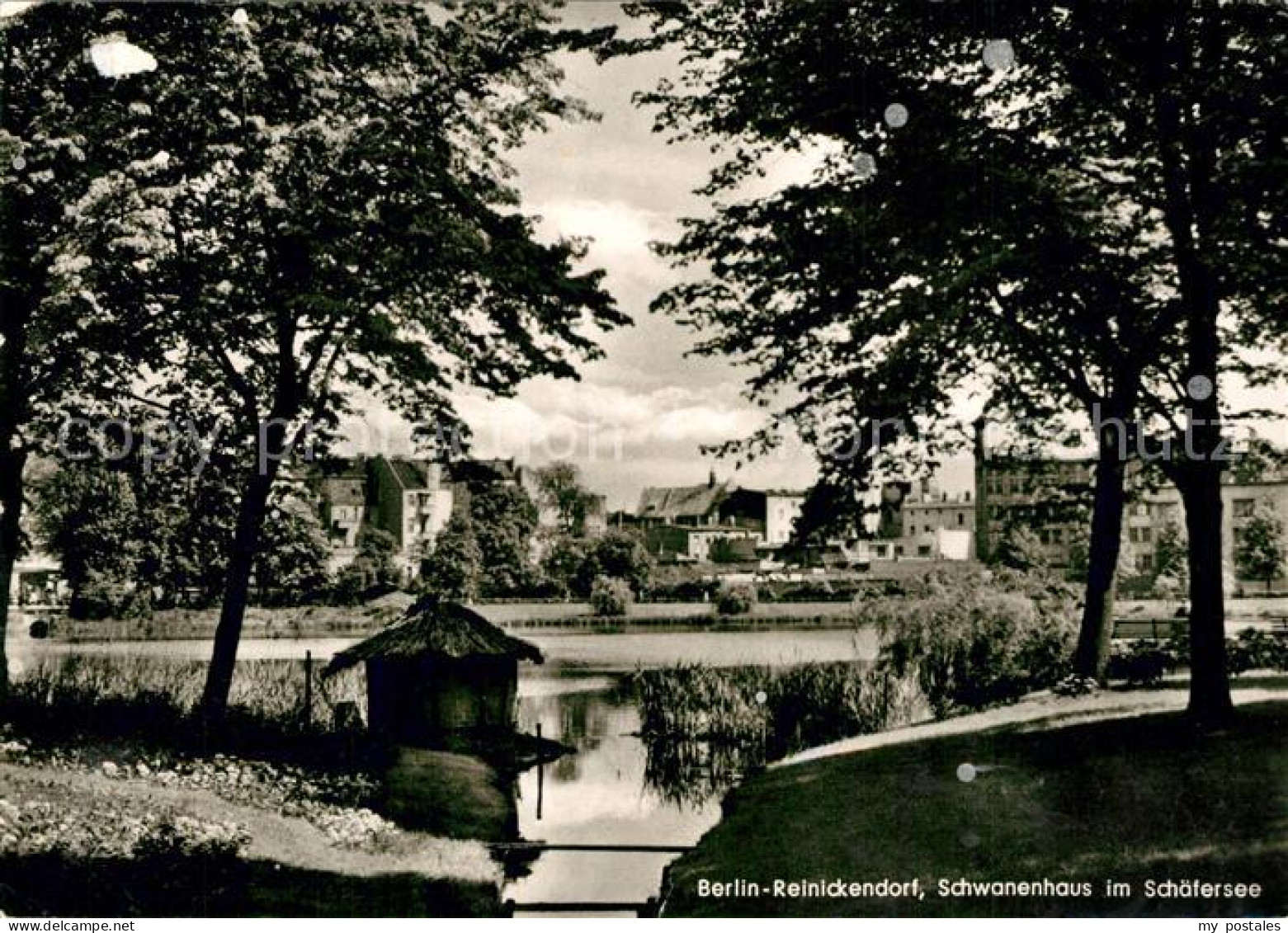 Reinickendorf Schwanenhaus im Schaefersee