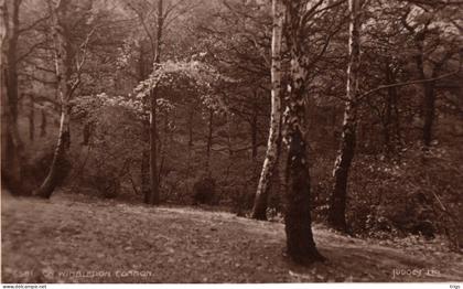 On Wimbledon Common