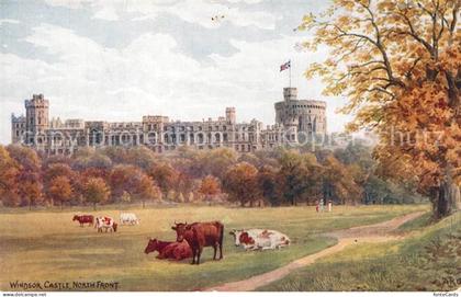 Windsor Berkshire Castle  Nord front