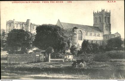 Christchurch Dorset River Kuehe