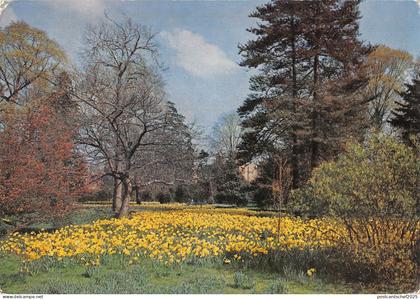 B102313 hampton court palace the wilderness   uk