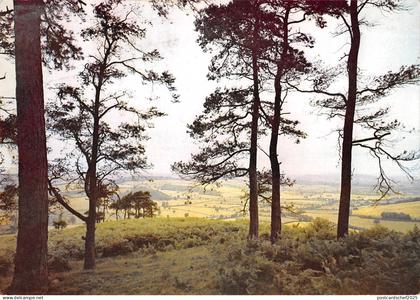 BR90087 croft castle leominster herefordshire uk