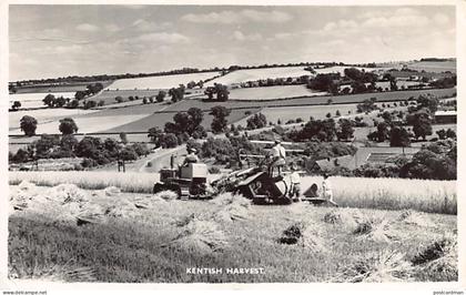 England - Kent - Kentish harvest