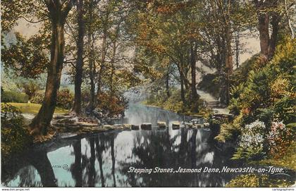 A5334 Newcastle-upon-Tyne stepping stones Jesmond Dene