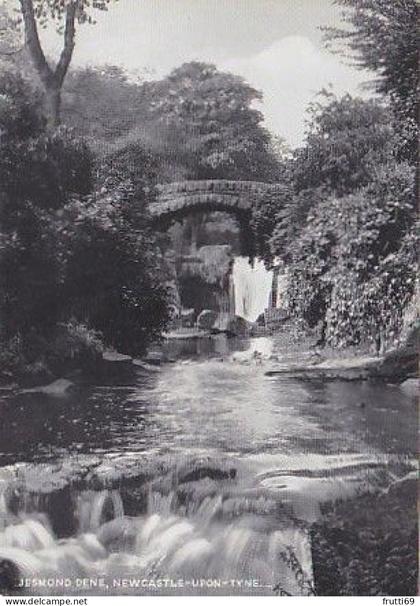 AK 185723 ENGLAND - Newcastle-upon-Tyne - Jesmond Dene