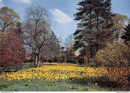 uk5074 hampton court palace wilderness uk