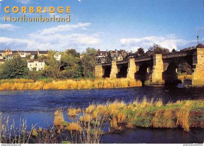 BR89654 corbridhe northumberland  uk
