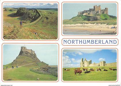 uk36696 northumberland  uk lot 7 uk