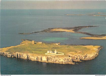 uk49134 farne island northumberland uk
