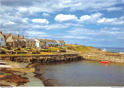 uk49556 craster northumberland uk