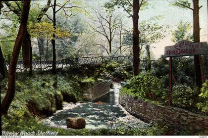 CPA Whiteley Woods Sheffield