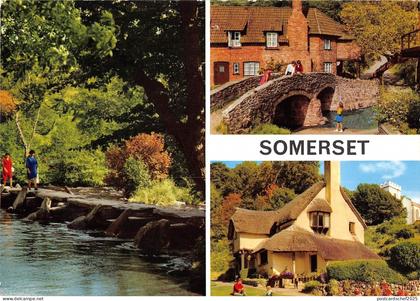 B96820 somerset   uk