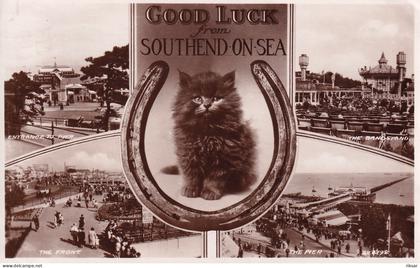 ANGLETERRE(SOUTHEND) CHAT