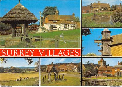 BR83386 surrey villages   uk