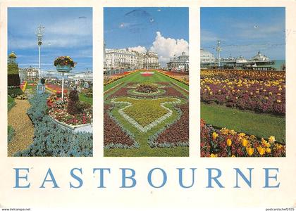 BT18314 eastbourne the sunshine coast    uk