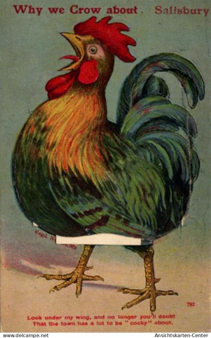 55121129 - Salisbury