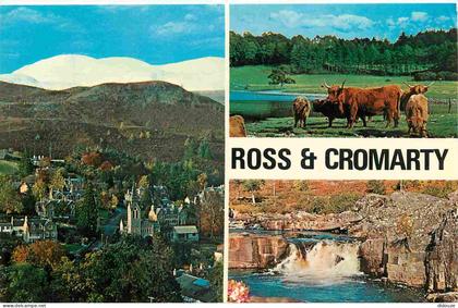 Carte Postale - Ecosse - Strathpeffer - Ross and cromarty - Multivues - 1 Strathpeffer 2 West highland or kyloe cattle 3