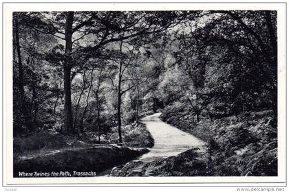 CP, ROYAUME UNI, ECOSSE, STIRLINGSHIRE, Where Twines the Path, Trossachs, Vierge