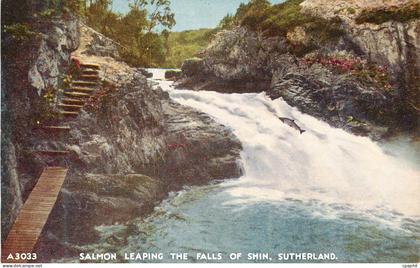 CPA Salmon Leaping The Falls of Shin Sutherland