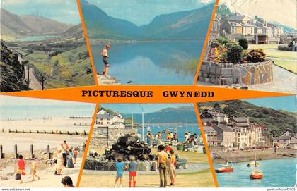 uk10276 gwynedd wales  uk