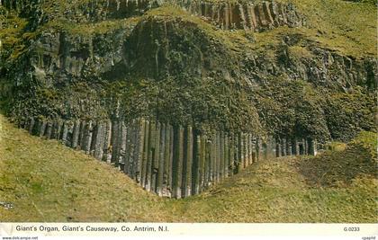 CPM Giant organ giant s causeway co antrim n i