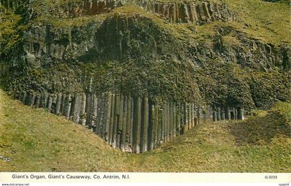 CPM Giant s organ giant s causeway co antrim n i