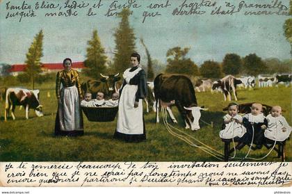 ILES DE LA MANCHE  JERSEY