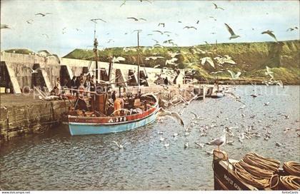 Stonehaven Aberdeenshire Hafen Fischerboot