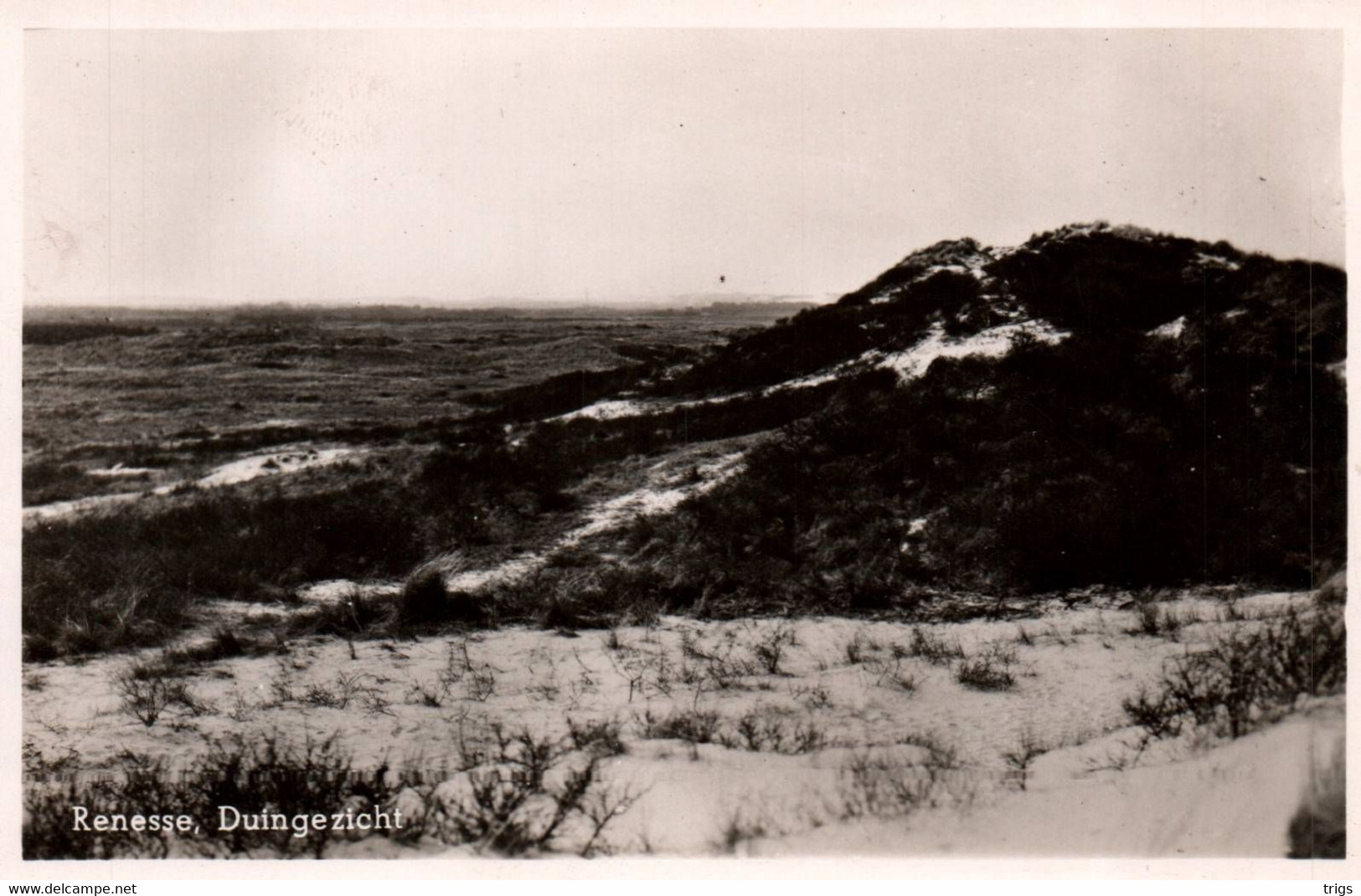 Renesse - Duingezicht