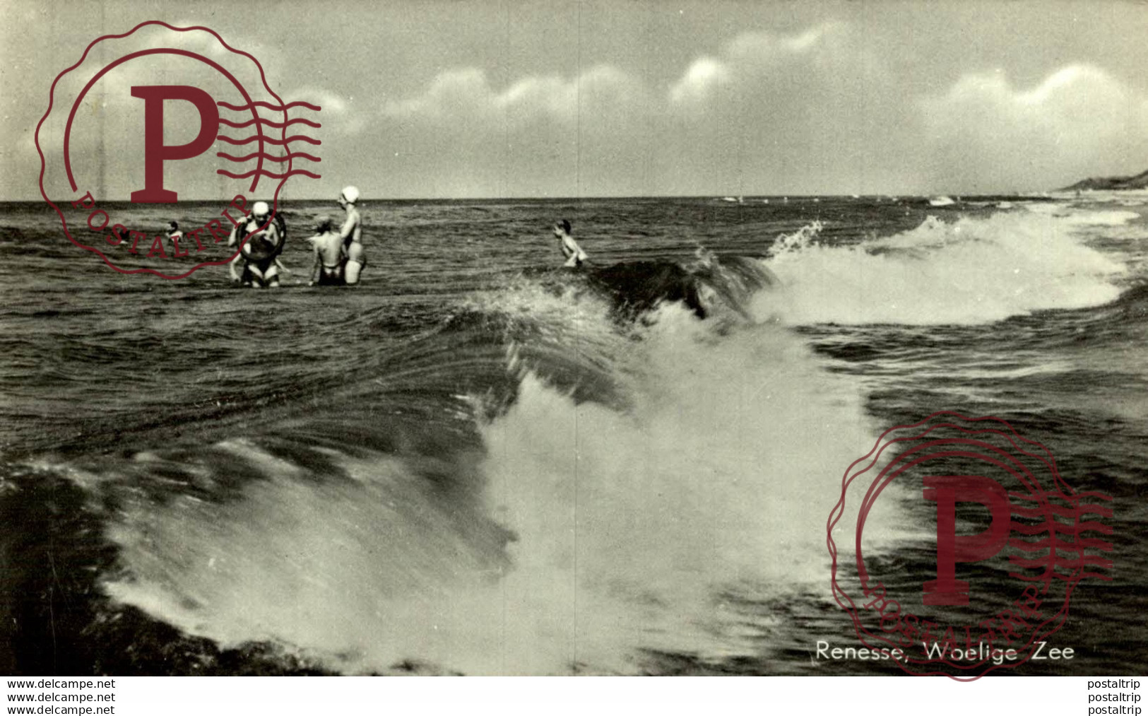 RENESSE, WOELIGE ZEE