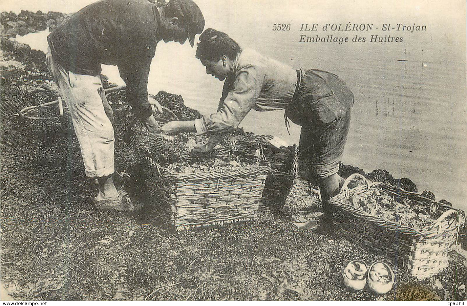REPRO Ile d'Oleron Saint Trojan Emballage des Huitres Ostreiculture