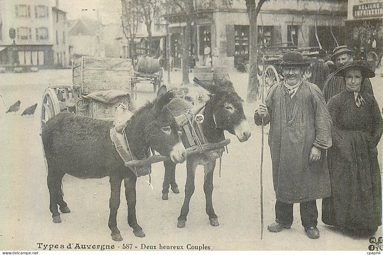 REPRO Types d'Auvergne Deux Heureux Couples Ane Donkey