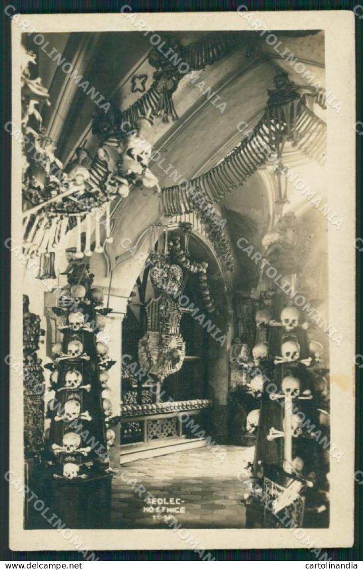 Repubblica Ceca Sedlec Kostnice Skeleton Teschio Foto PIEGA postcard QT5043