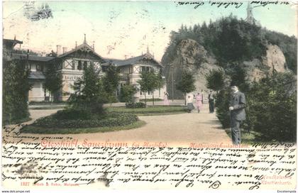 CPA-Carte Postale Tchéquie Karlsbad Karlovy Vary  Giesshübl-Sauerbrunn VM55493ok