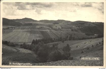 Pribiyslavice Wiesen Felder